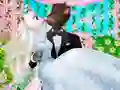 Angela and Tom Dream Wedding