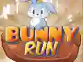 Bunny Run Bunny Run