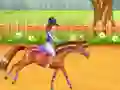 Horse Care and Riding Horse Care and Riding