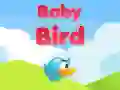 Baby Bird Baby Bird