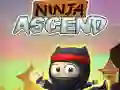 Ninja Ascend Ninja Ascend