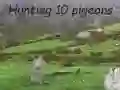 Pigeons Hunting Pigeons Hunting
