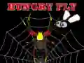 Hungry fly Hungry fly