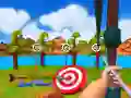 Archery Expert: Small Island