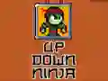 Up Down Ninja