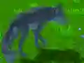 Wolf Simulator Wolf Simulator