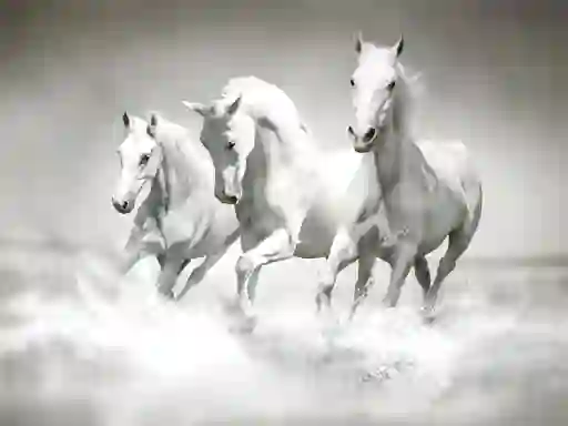 Hra Horses Puzzle