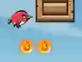 Mildly Infuriated Bird Mildly Infuriated Bird