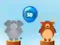 Jungle balloons rounding Jungle balloons rounding