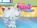 Cute Kitty Care Cute Kitty Care