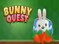 Bunny Quest Bunny Quest