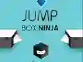 Jump Box Ninja