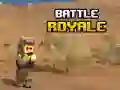 Battle Royale Battle Royale
