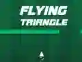 Flying Triangle Flying Triangle