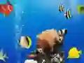 Sea Underwater Difference Sea Underwater Difference