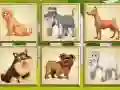 Dogs Memory Dogs Memory