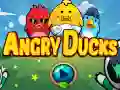 Angry Ducks Angry Ducks
