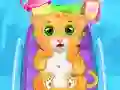 Little Cat Doctor Little Cat Doctor