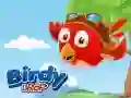 Birdy Drop Birdy Drop