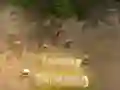 Tower Defense Tower Defense