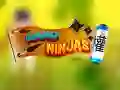 Nano Ninja Nano Ninja