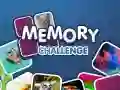 Memory Challenge Memory Challenge