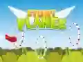 Stunt Planes Stunt Planes