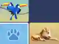 Wild Memory Match Wild Memory Match