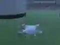 Drone Drone