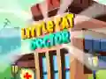 Little Cat Doctor Little Cat Doctor