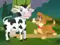 Domestic Animals Memory Domestic Animals Memory