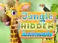 Jungle Hidden Animals Jungle Hidden Animals