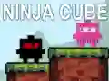 Ninja Cube Ninja Cube