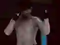 MFS: MMA Fighter MFS: MMA Fighter