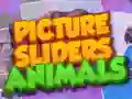 Picture Slider Animals Picture Slider Animals