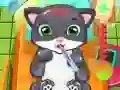 Cat Doctor Cat Doctor