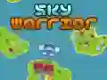 Sky Warrior Sky Warrior