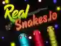 Real Snakes.io Real Snakes.io