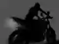 Shadow Bike Rider Shadow Bike Rider