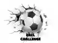 Ball Challenge Ball Challenge