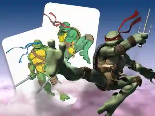 Ninja Turtles Memory card Match — free online game