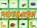 Find The Insect Find The Insect