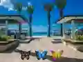 Find 100 butterflies Find 100 butterflies