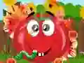 Tomato Explosion  