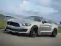 Mustang Shelby Puzzle Mustang Shelby Puzzle