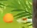 Tropical Slasher Tropical Slasher