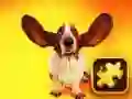 Funny Dogs Puzzle Funny Dogs Puzzle