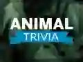 Animal Trivia