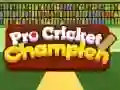 Pro Cricket Champion