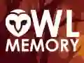 Owl Memory Owl Memory